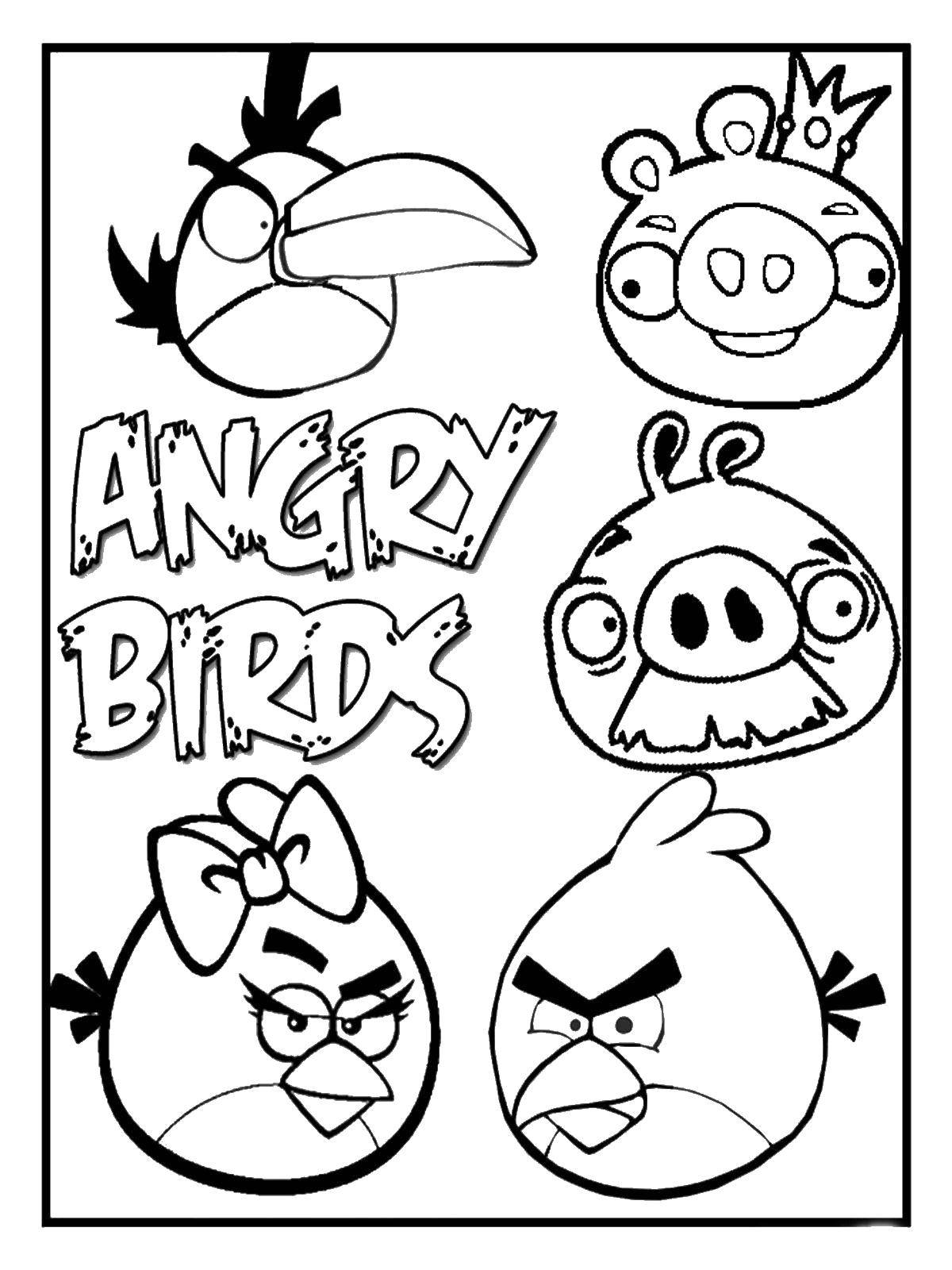 Название: Раскраска Angry birds и король свин. Категория: angry birds. Теги: angry birds, энгри бердс.