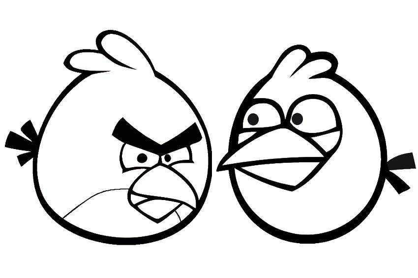 Coloring Angry birds red. Category angry birds. Tags:  angry birds, red.