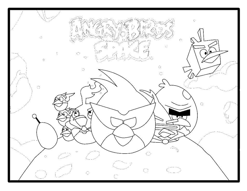Coloring Angry birds space. Category angry birds. Tags:  angry birds space.