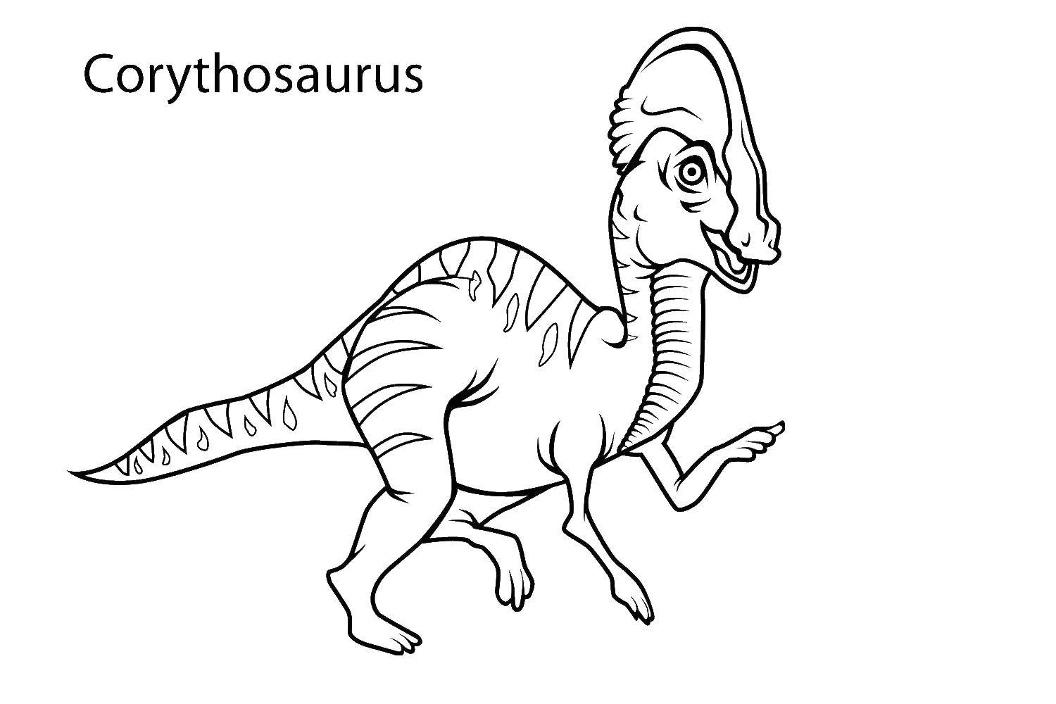 Coloring Dinosaur corythosaurus. Category dinosaur. Tags:  dinosaurs, corythosaurus.