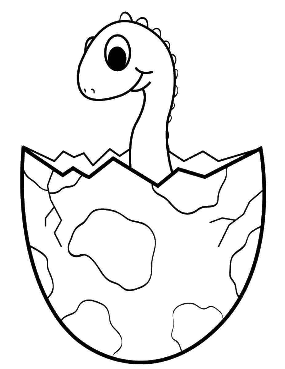 Coloring Dinosaur hatched out of the nest. Category dinosaur. Tags:  dinosaurs.