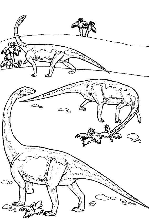 Розмальовки  Диплодок – растительноядный динозавр. Завантажити розмальовку Диплодок, динозаври.  Роздрукувати ,динозавр,