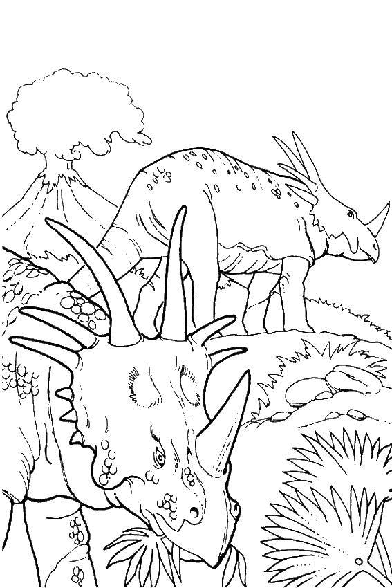 Опис: розмальовки  Трицератопси. Категорія: динозавр. Теги:  Трицератопси.