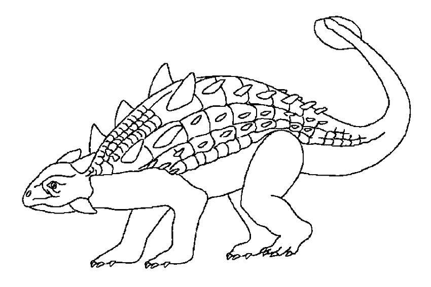 Название: Раскраска Динозавр анкилозавр. Категория: динозавр. Теги: динозавр, анкилозавр.