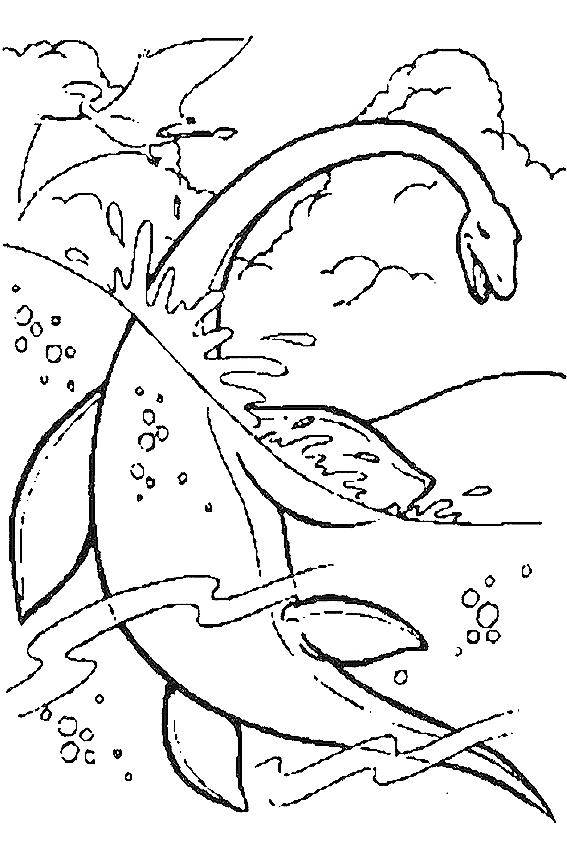 Название: Раскраска Плезиозавр – гигантский водоплавающий ящер. Категория: динозавр. Теги: Плезиозавр, динозавр.