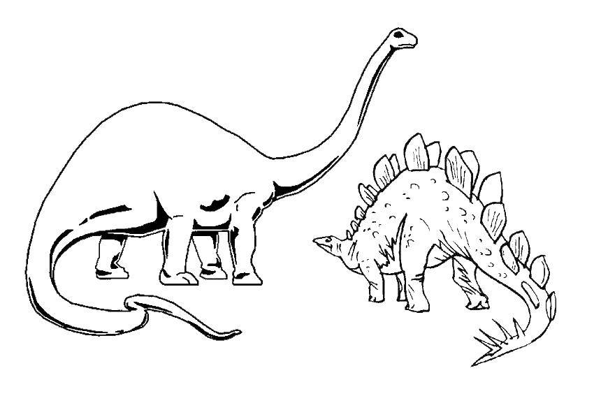 Название: Раскраска Стегозавр и диклодок. Категория: динозавр. Теги: Динозавр.