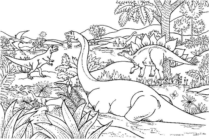 Название: Раскраска Юрский период динозавров. Категория: динозавр. Теги: юрский период.