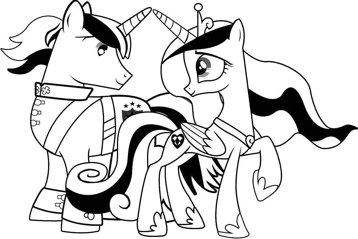 Название: Раскраска Принцесса каденс и принц шайнинг армор. Категория: мой маленький пони. Теги: Принцесса Каденс, Шайнинг Армор.