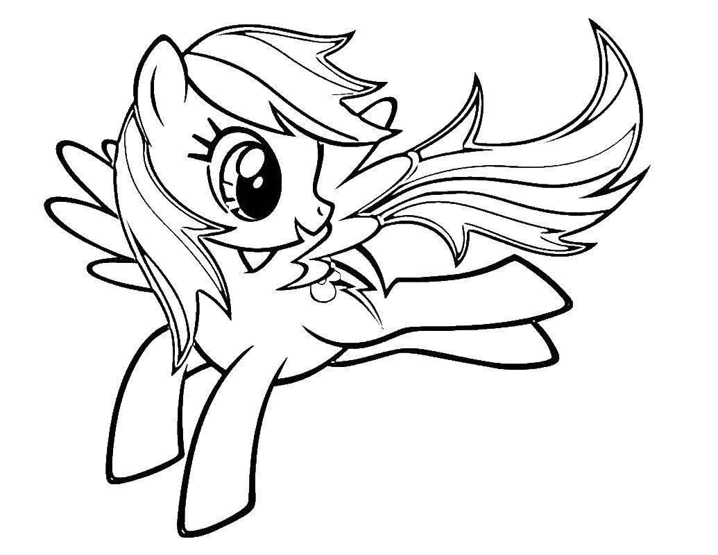 Coloring Rainbow pony the weather. Category my little pony. Tags:  pony, rainbow.
