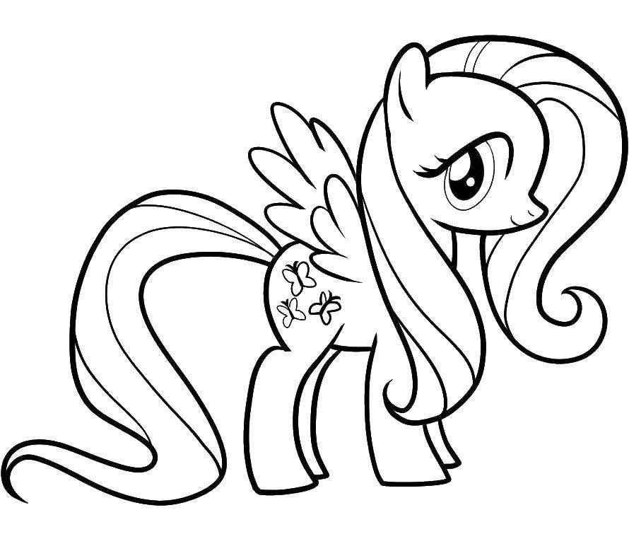 Coloring Ponies with butterfly. Category my little pony. Tags:  pony, mane, tail, butterfly.