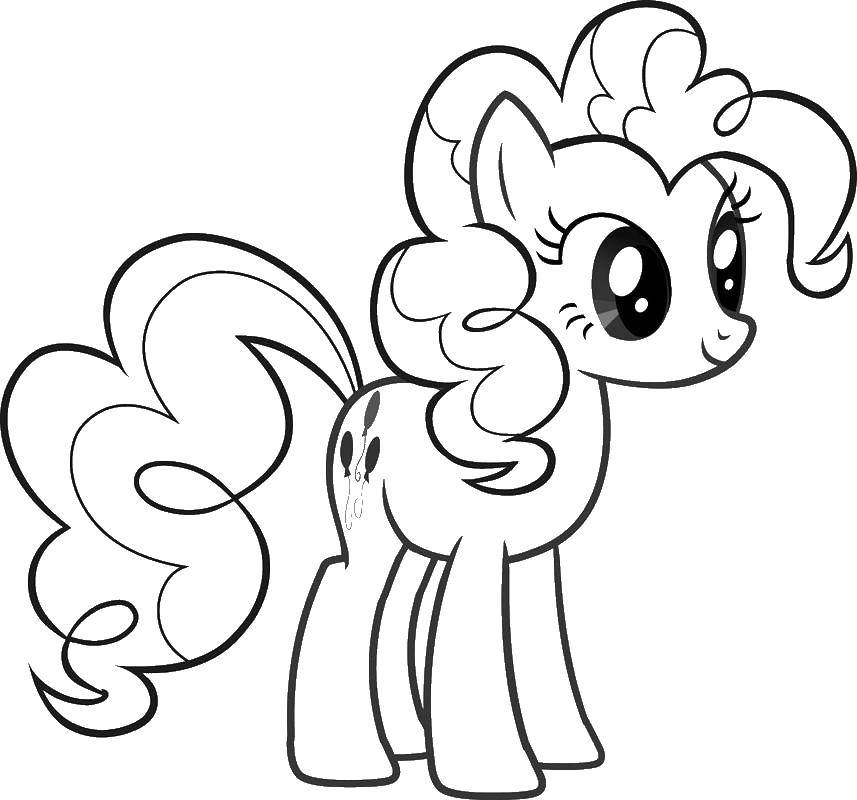 Coloring Pony with balls. Category my little pony. Tags:  pony beads, mane, tail.
