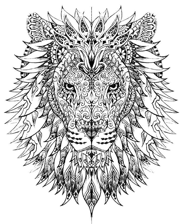 Название: Раскраска Голова льва. Категория: раскраски для подростков. Теги: голова, лев, узоры.