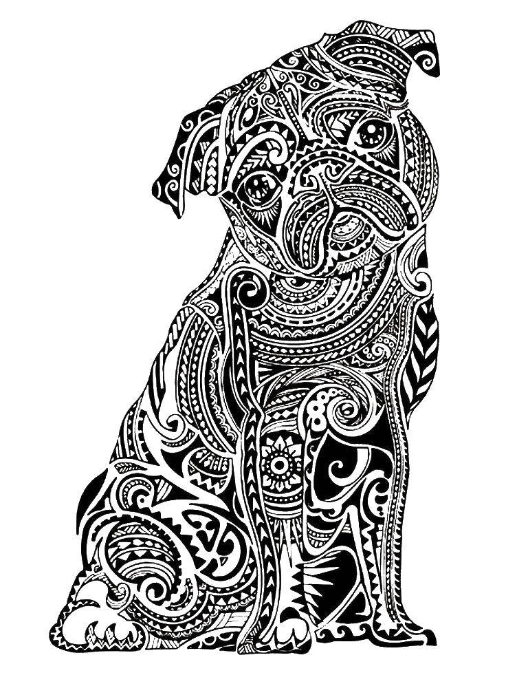 Coloring Pug patterns. Category dogs. Tags:  the dog, patterns, pug.