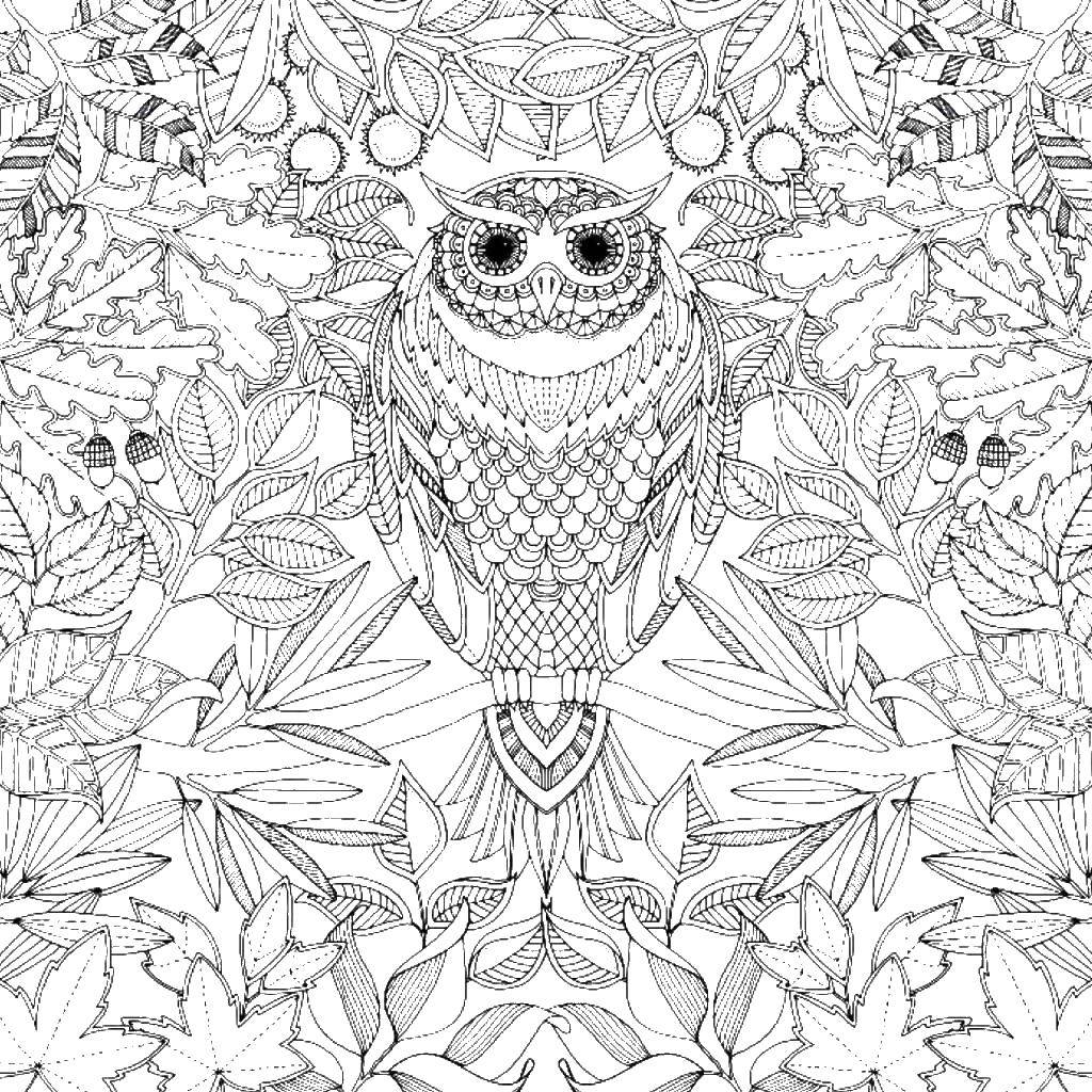 Coloring Owl tree. Category coloring antistress. Tags:  owl tree.