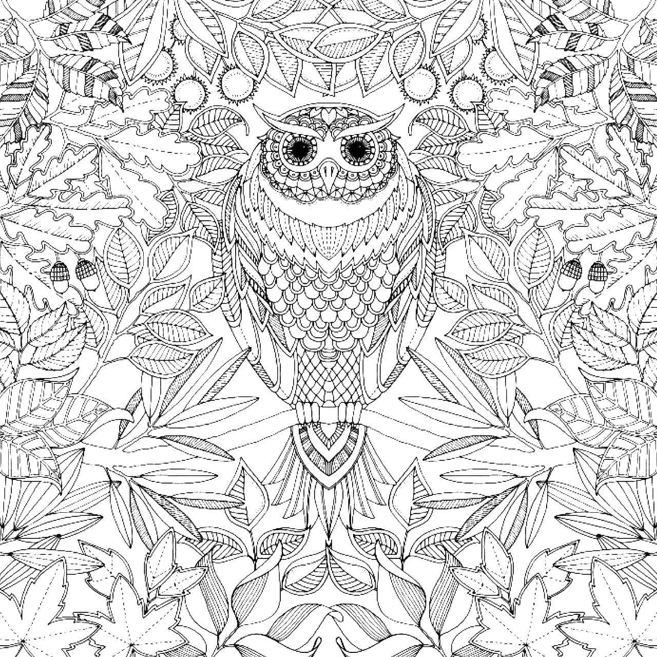 Coloring Owl in the flowers. Category coloring pages for teenagers. Tags:  owl, flowers, patterns.