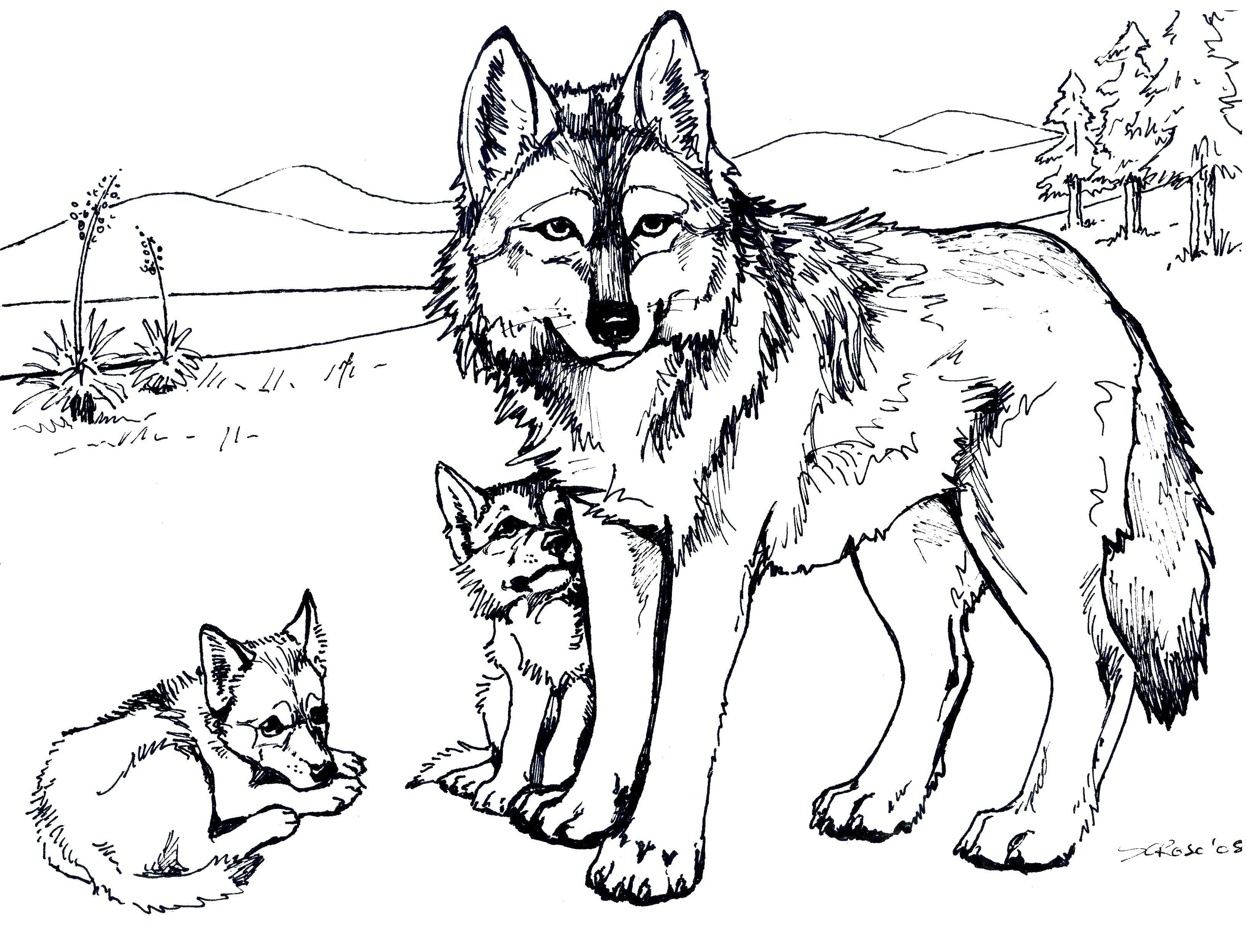 Название: Раскраска Волк и волчата. Категория: Животные. Теги: волк, волчата, лес.