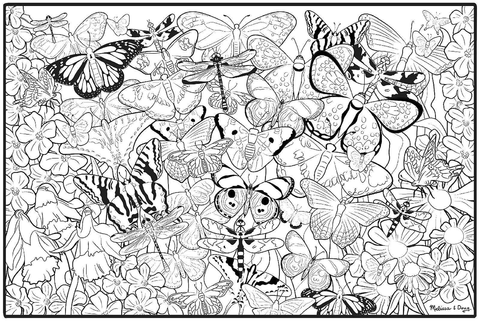 Название: Раскраска Много бабочек и цветы. Категория: бабочки. Теги: бабочка, цветы, трава.