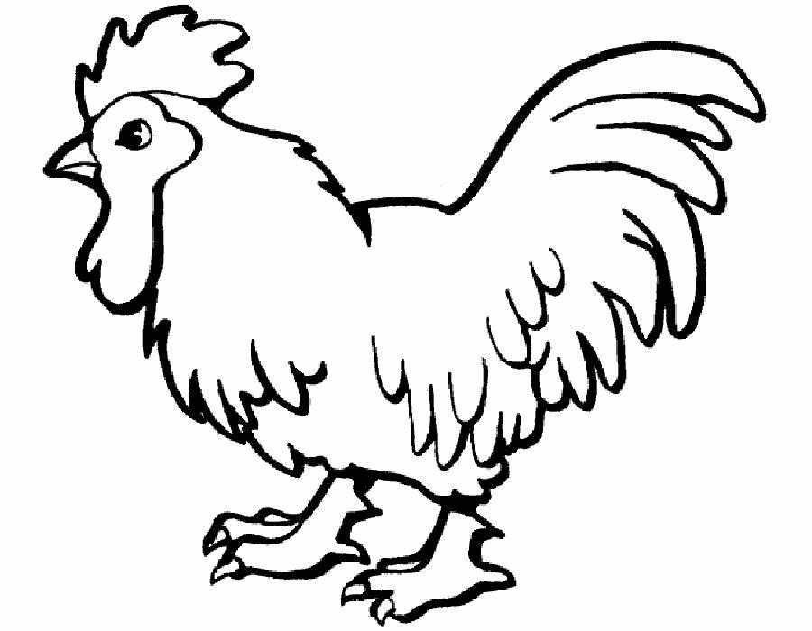 Coloring Figure of a rooster. Category Pets allowed. Tags:  The cock.