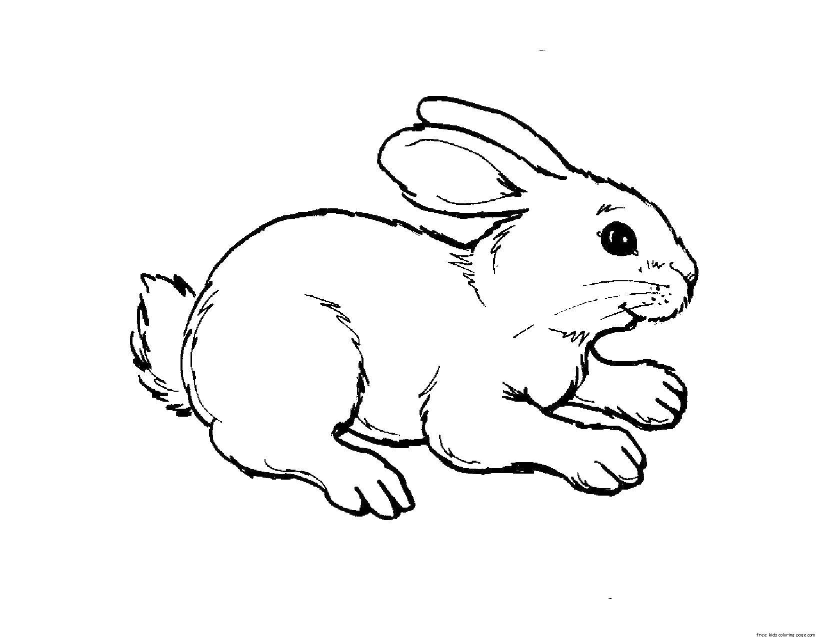 Название: Раскраска Милый кролик. Категория: Животные. Теги: кролик, зайки, животные.