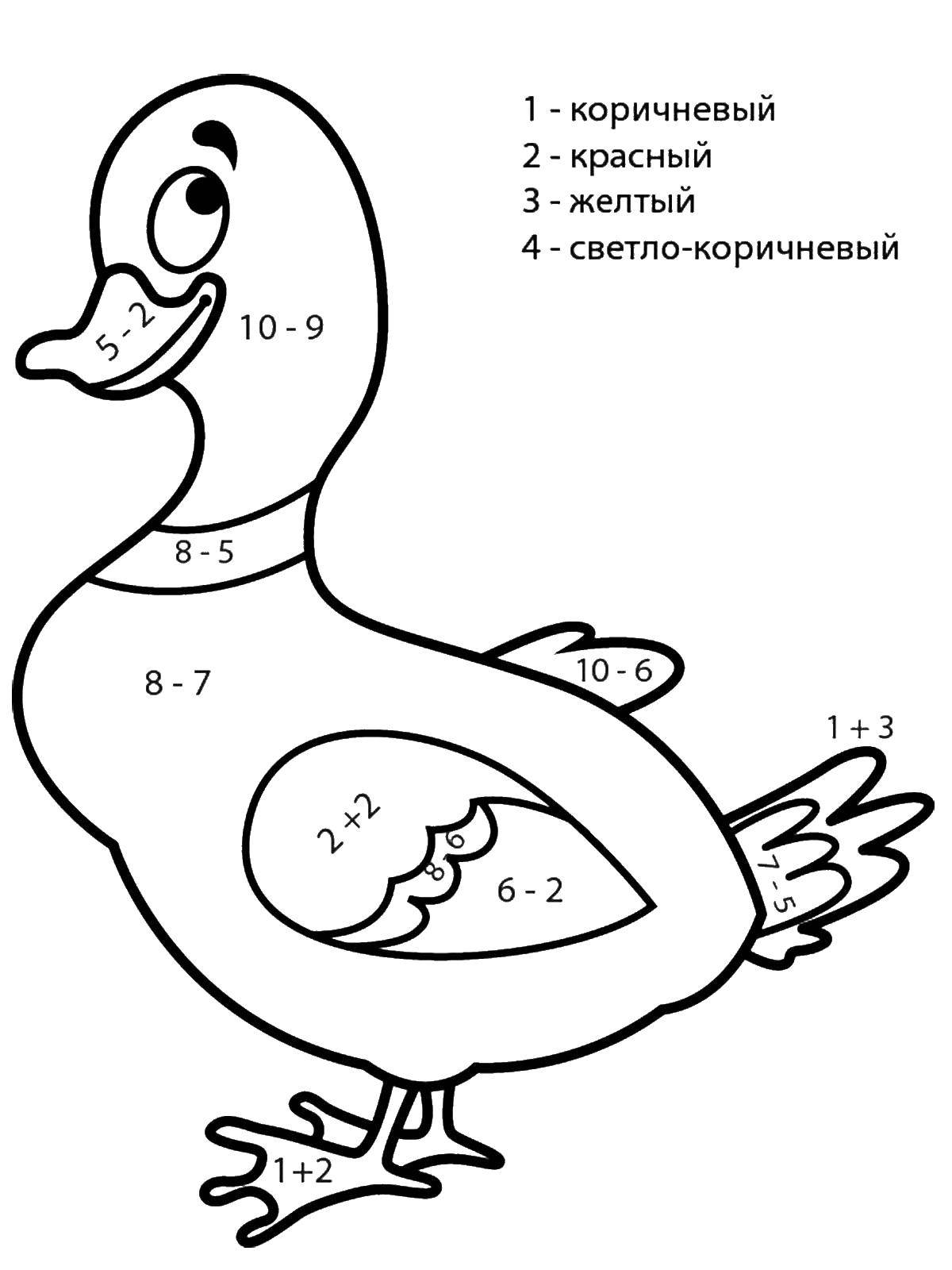 Coloring Solve examples and paint a picture by numbers. Category mathematical coloring pages. Tags:  examples, mathematics, duck.