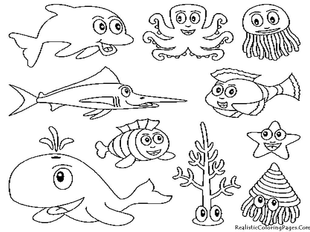 Название: Раскраска Детеныши морских животных. Категория: Морские животные. Теги: кит, осминог, дельфин.