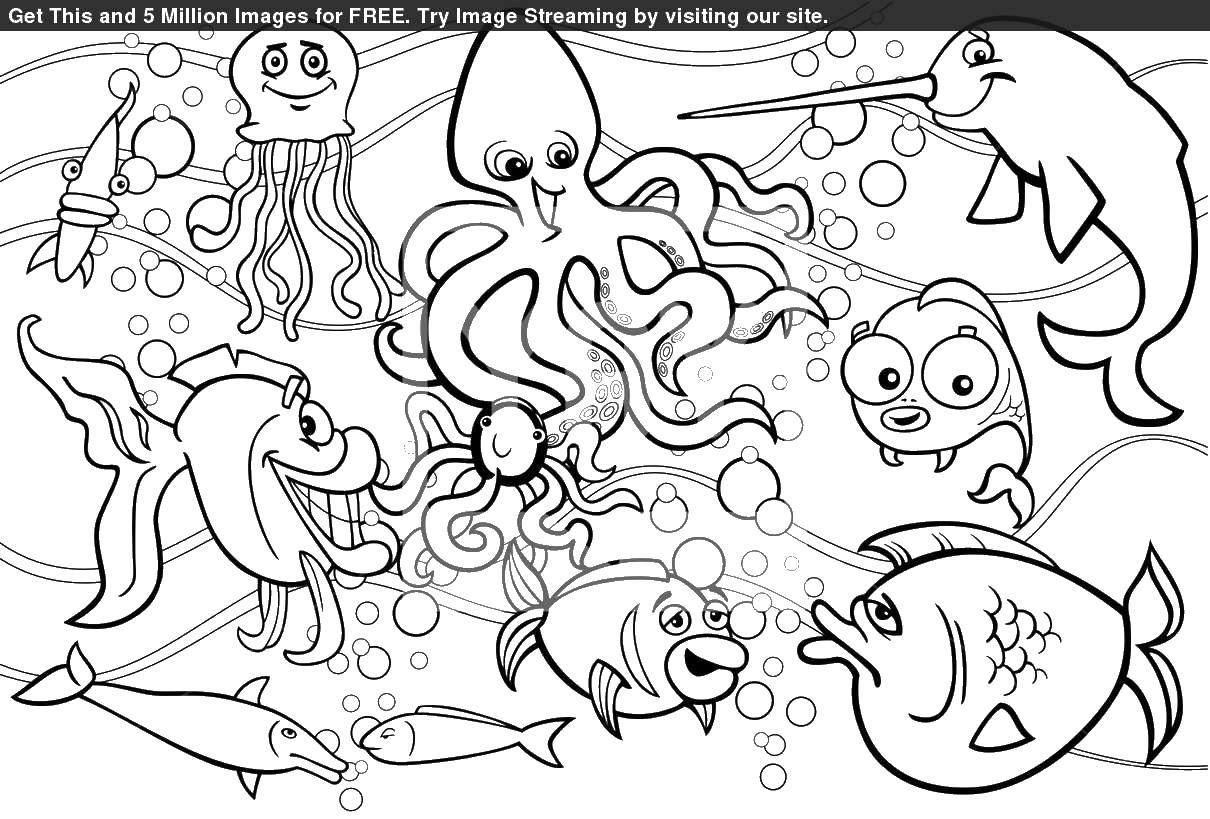 Название: Раскраска Осминог рыбы. Категория: Морские животные. Теги: осминог, рыбы, подводный мир.
