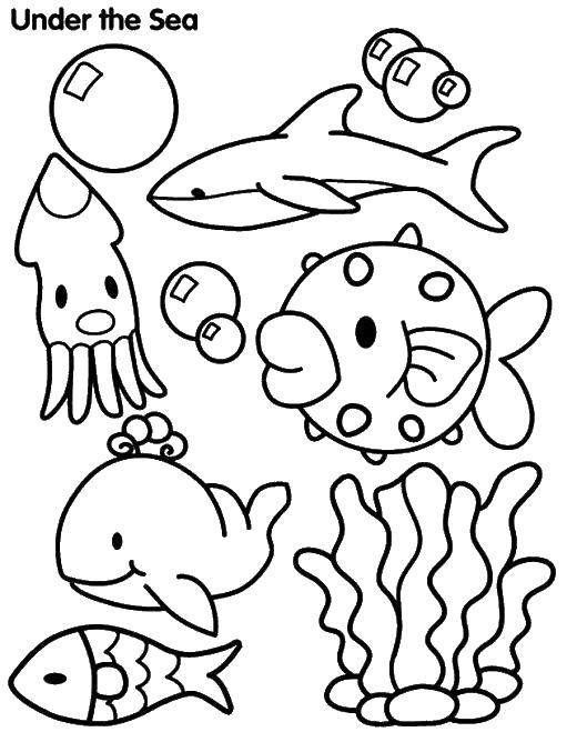 Название: Раскраска Подводный мир. Категория: Морские животные. Теги: рыбы, подводный мир.