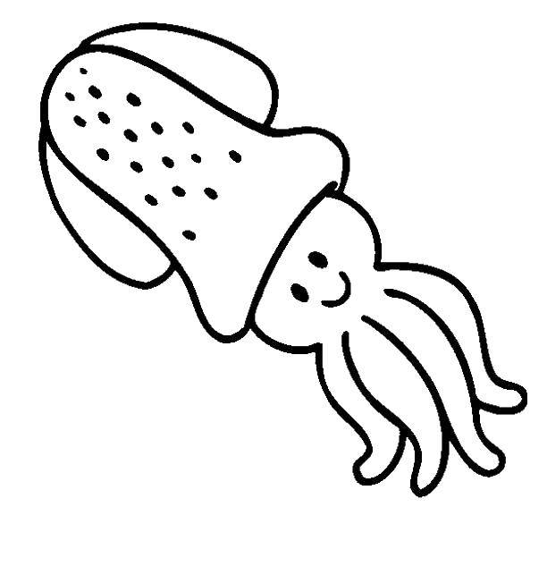 Coloring Fun squid. Category Marine animals. Tags:  Underwater, squid.