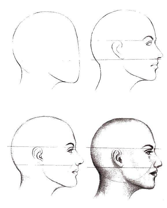 Coloring How to draw a profile. Category how to draw step by step. Tags:  how to draw face, profile.
