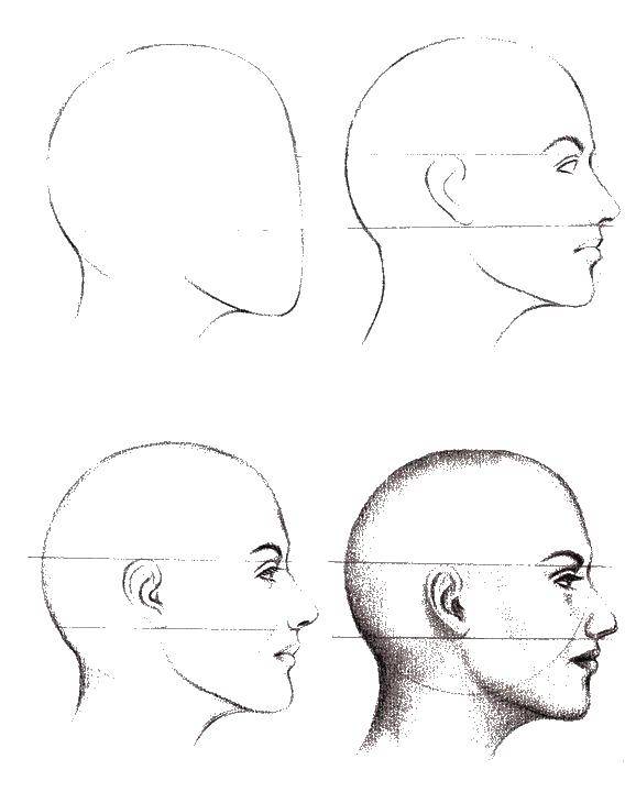 Название: Раскраска Как нарисовать профиль. Категория: как нарисовать пошагово. Теги: как нарисовать, лицо, профиль.
