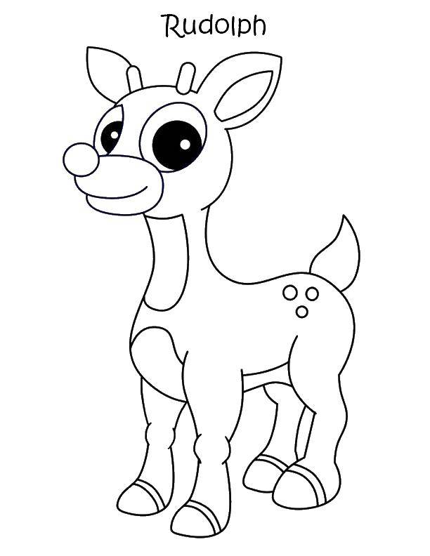 Coloring Rudolph the reindeer. Category Cartoon character. Tags:  Rudolf, reindeer.