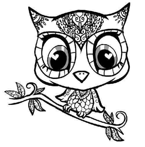 Coloring Owl on vetvyah. Category coloring. Tags:  the owl, branch.