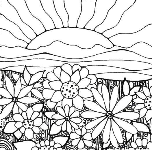 Coloring Flowers and sunset. Category the sunset. Tags:  sunset, sun, flowers.