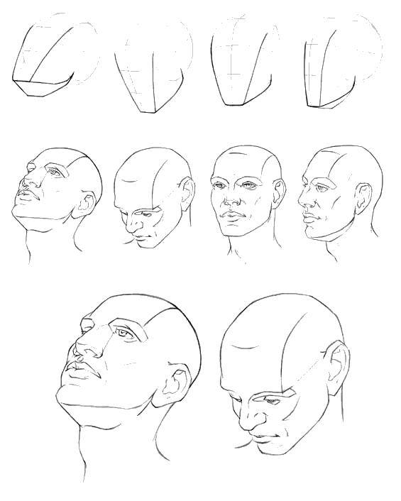 Название: Раскраска Как нарисовать голову. Категория: как нарисовать пошагово. Теги: голова.