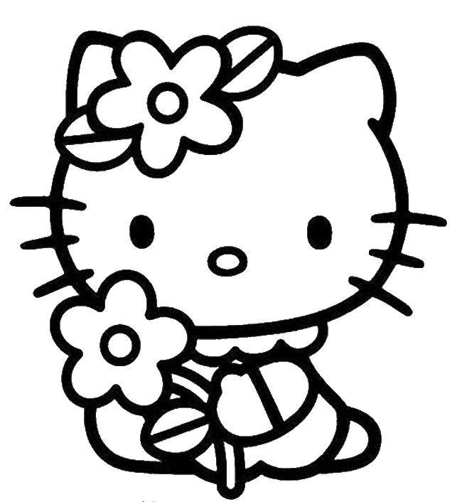 Coloring Kitty with flower chamomile. Category Hello Kitty. Tags:  Kitty, flower.