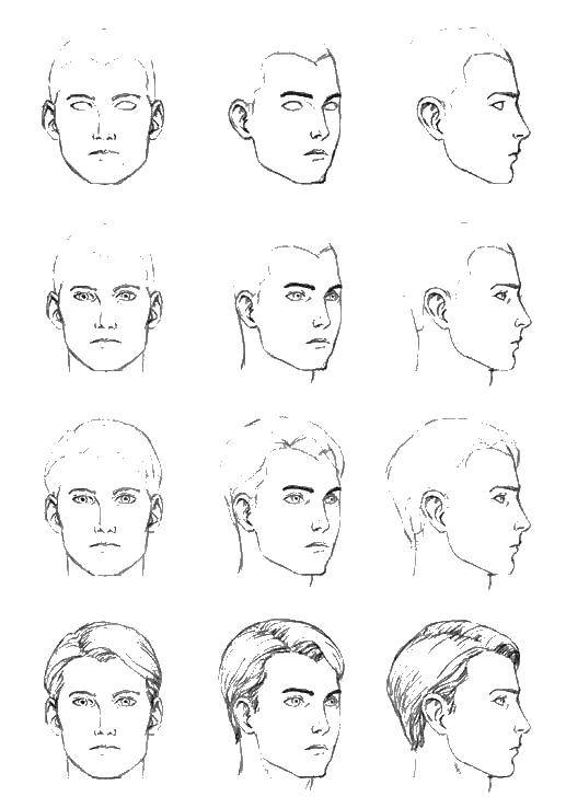 Название: Раскраска Рисуем мужскую голову. Категория: как нарисовать пошагово. Теги: голова.
