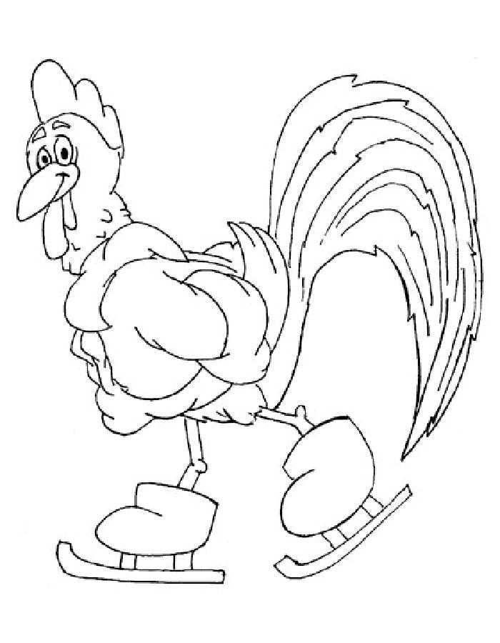Coloring A picture of a cock on skates. Category Pets allowed. Tags:  The cock.