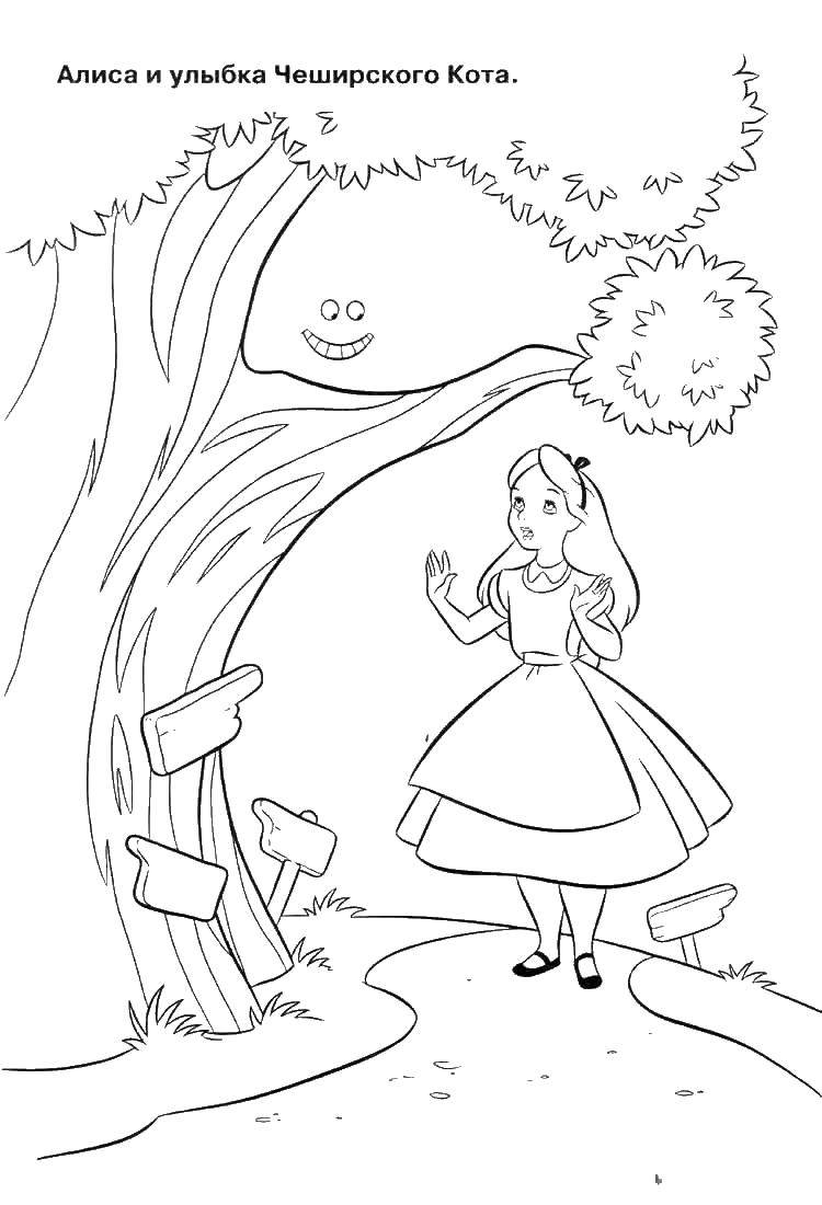 Coloring Alice and the Cheshire cat smile. Category Fairy tales. Tags:  tale, Alice, the Cheshire cat.