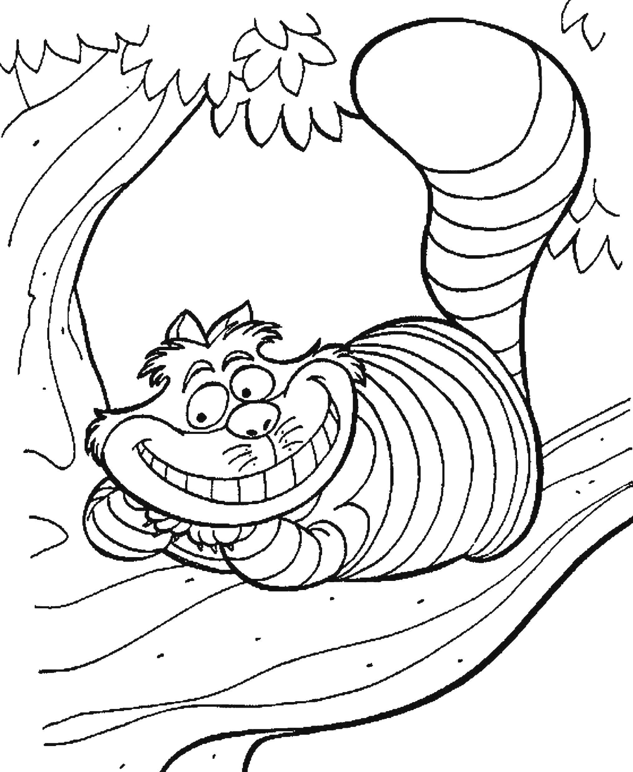 Coloring Cheshire cat in a tree. Category Fairy tales. Tags:  tales, the Cheshire cat.