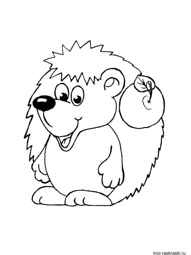 Coloring Hedgehog with Apple. Category Animals. Tags:  animals, hedgehog, Apple.