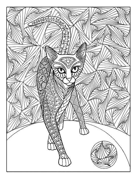 Название: Раскраска Кот с длинными хвостам. Категория: Антистресс. Теги: кот, хвост.