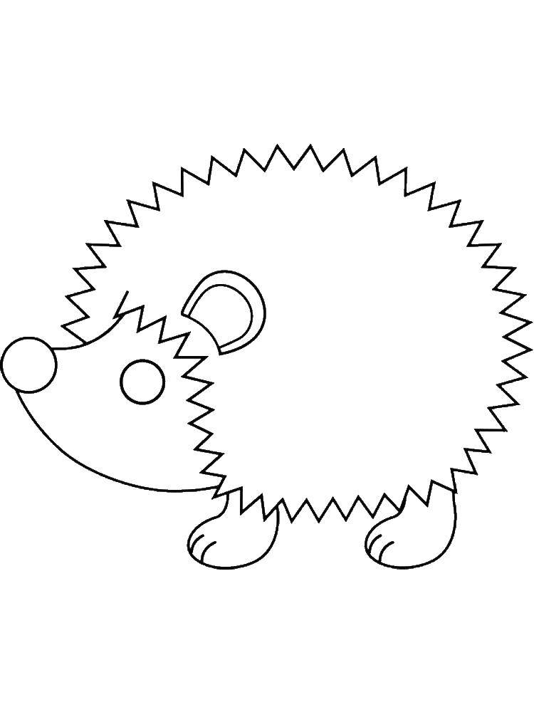 Coloring Cute hedgehog. Category Animals. Tags:  animals, hedgehog.