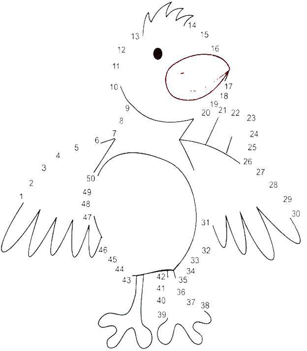 Coloring Bird. Category mathematical coloring pages. Tags:  bird.