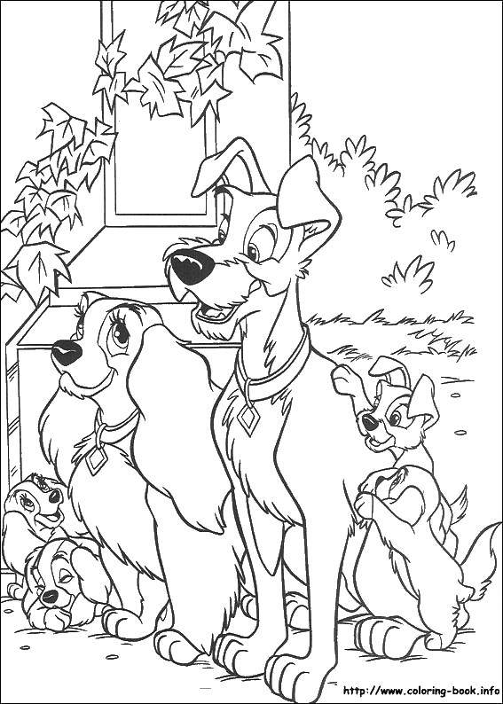 Coloring Semeistva dogs. Category family animals. Tags:  dogs, puppies.