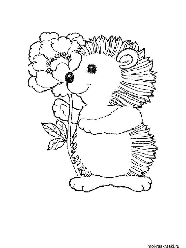 Coloring Hedgehog with a flower. Category Animals. Tags:  animals, hedgehog.