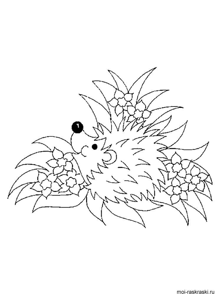 Coloring Hedgehog in flowers. Category Animals. Tags:  animals, hedgehog.