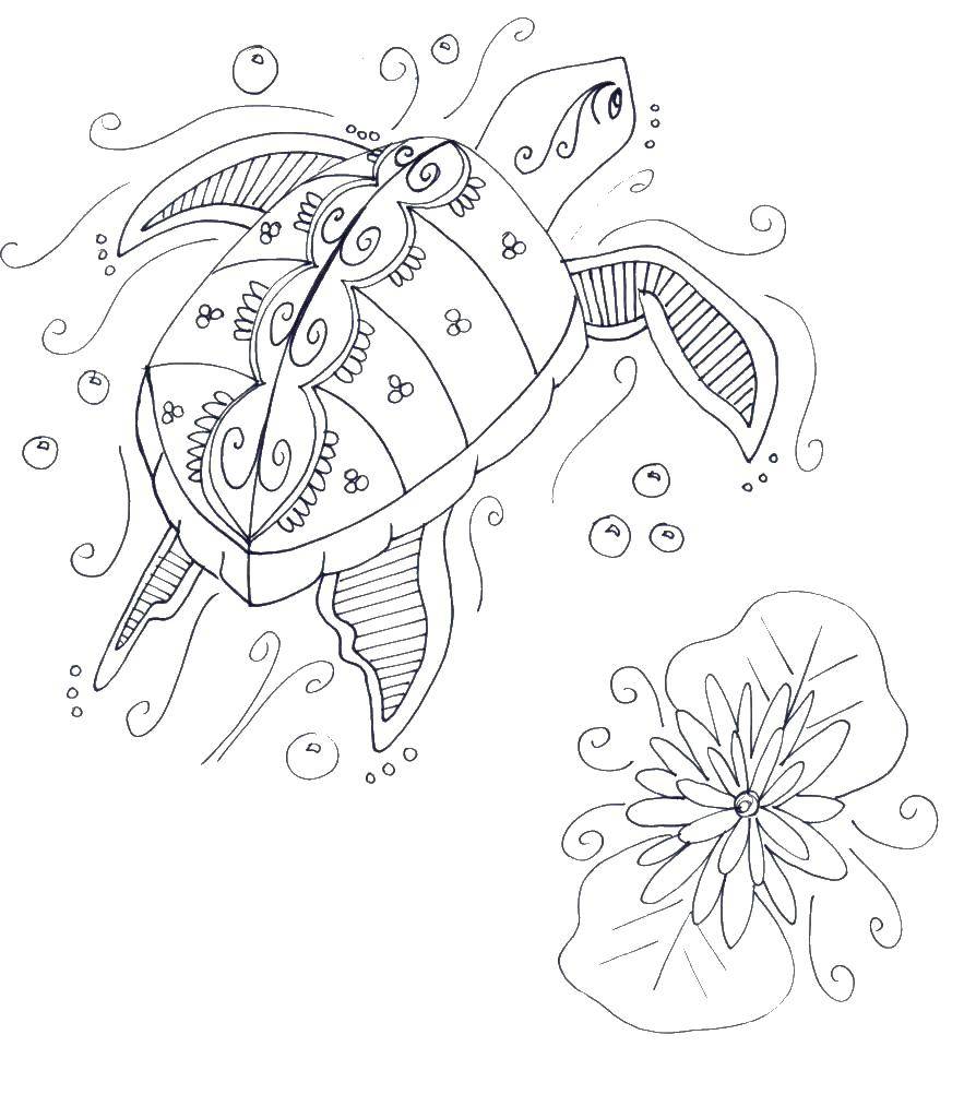 Название: Раскраска Красивая черепашка в воде. Категория: раскраски. Теги: черепашки, вода, море.