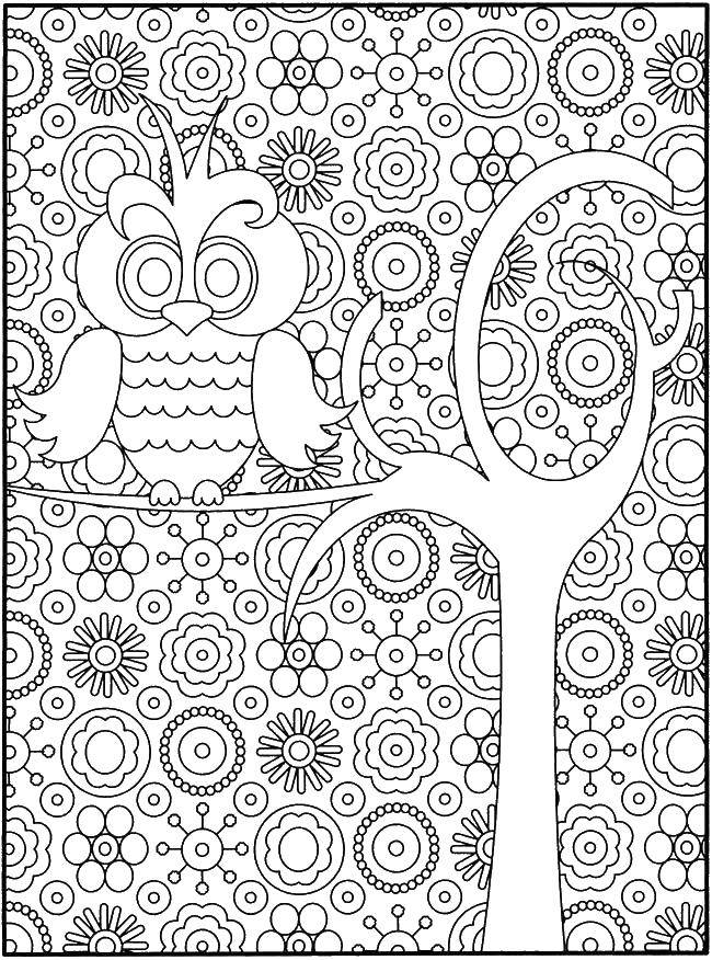 Название: Раскраска Сова на ветке дерева. Категория: раскраски антистресс. Теги: сова, дерево.