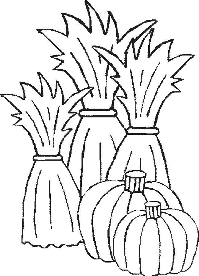 Coloring Onion. Category vegetables. Tags:  onion, green onions.