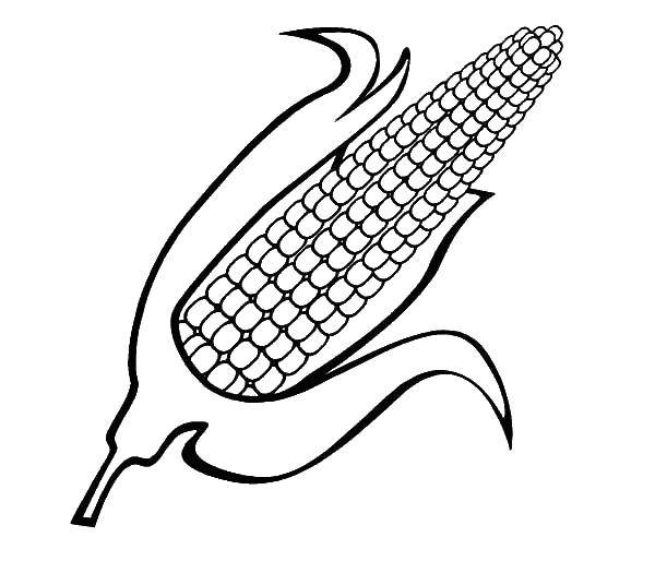 Название: Раскраска Пачаток кукурузы. Категория: Кукуруза. Теги: Кукуруза, зерна.